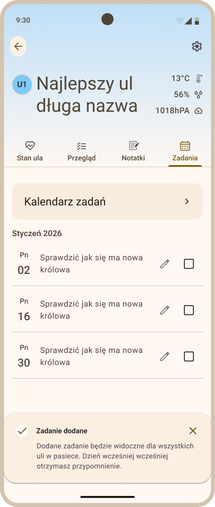 Zakładka Szczegóły - przykładowy widok zakładki Zadania