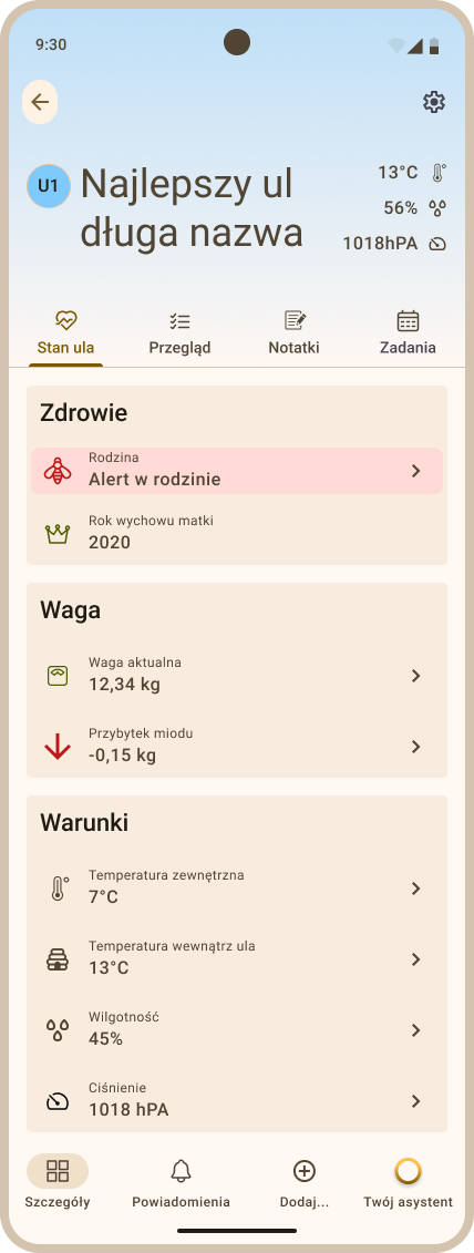 Zakładka Szczegóły - przykładowy widok zakładki Stan ula